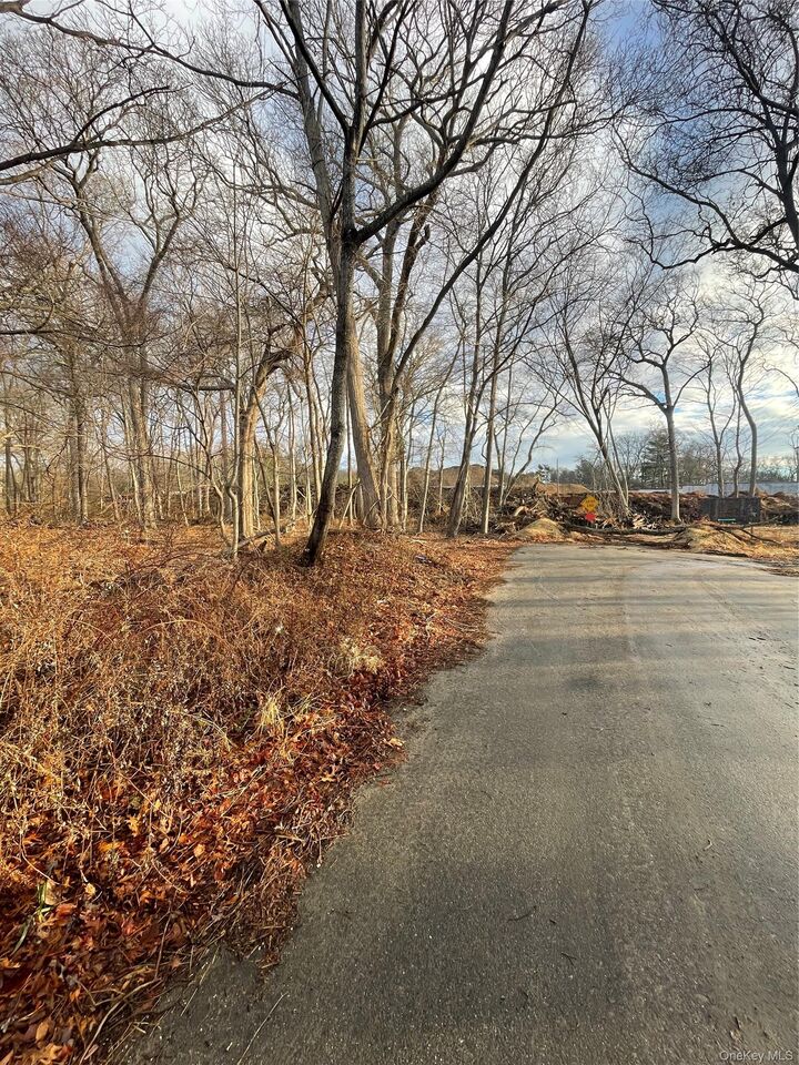 Property Photo: 0 Daniel Lane NY 11953