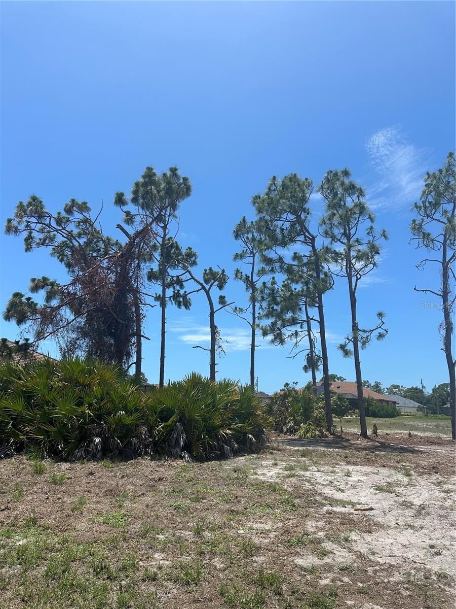 Property Photo:  11 Medalist Way  FL 33947 