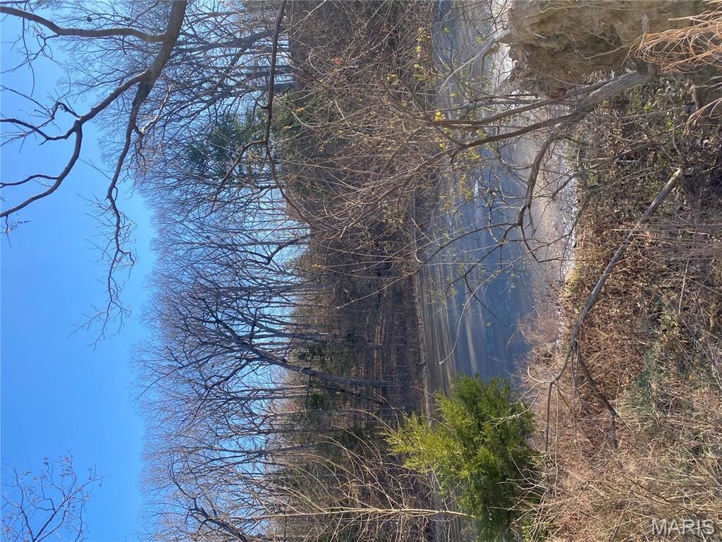 Property Photo: 18715 Bartold Lane MO 63069