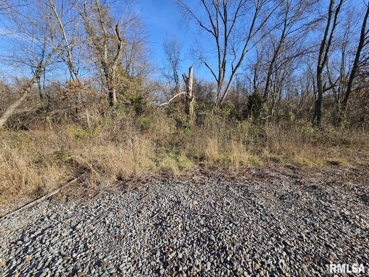 Property Photo:  0000 N Il 37 Highway  IL 62816 