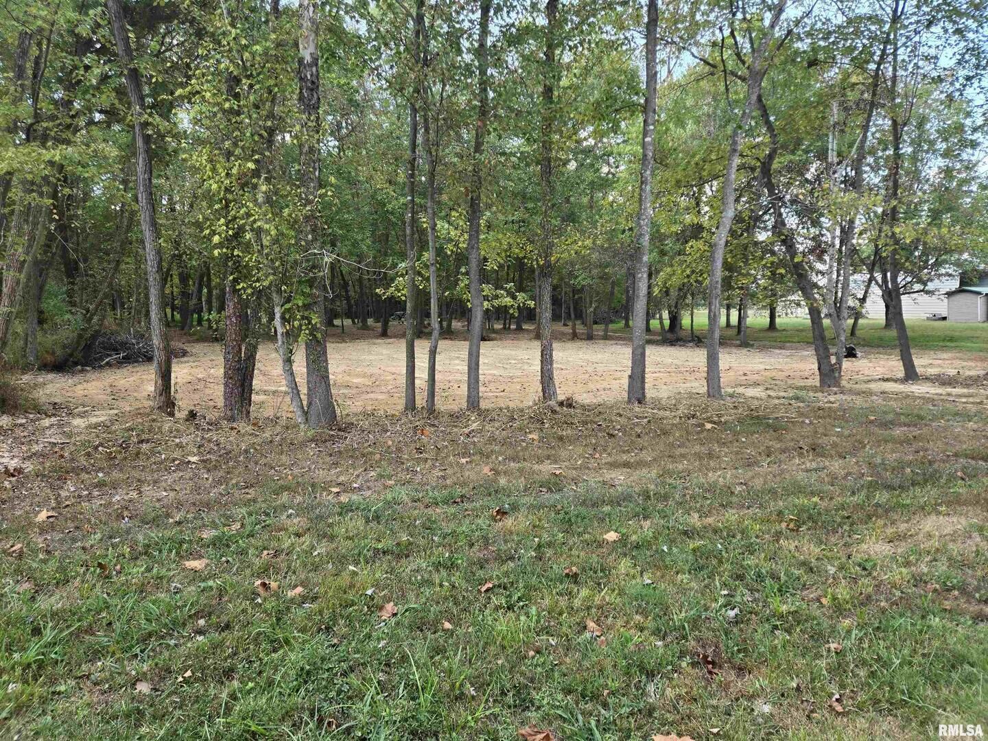 Property Photo: Lot 4 Norman Road IL 62959