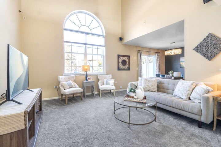 Property Photo: 533 Mallard Lane D IL 60554