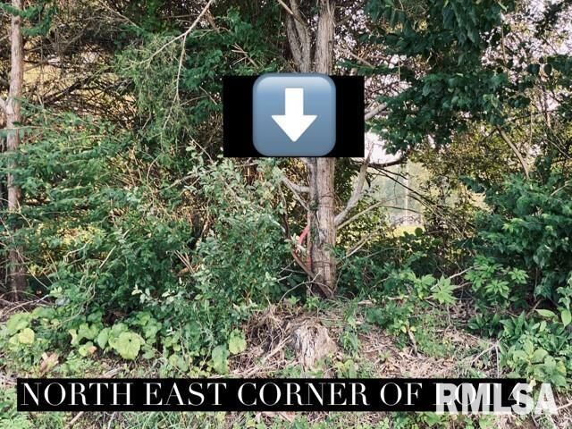 Property Photo: Lot 3 Falcon Road IL 62901