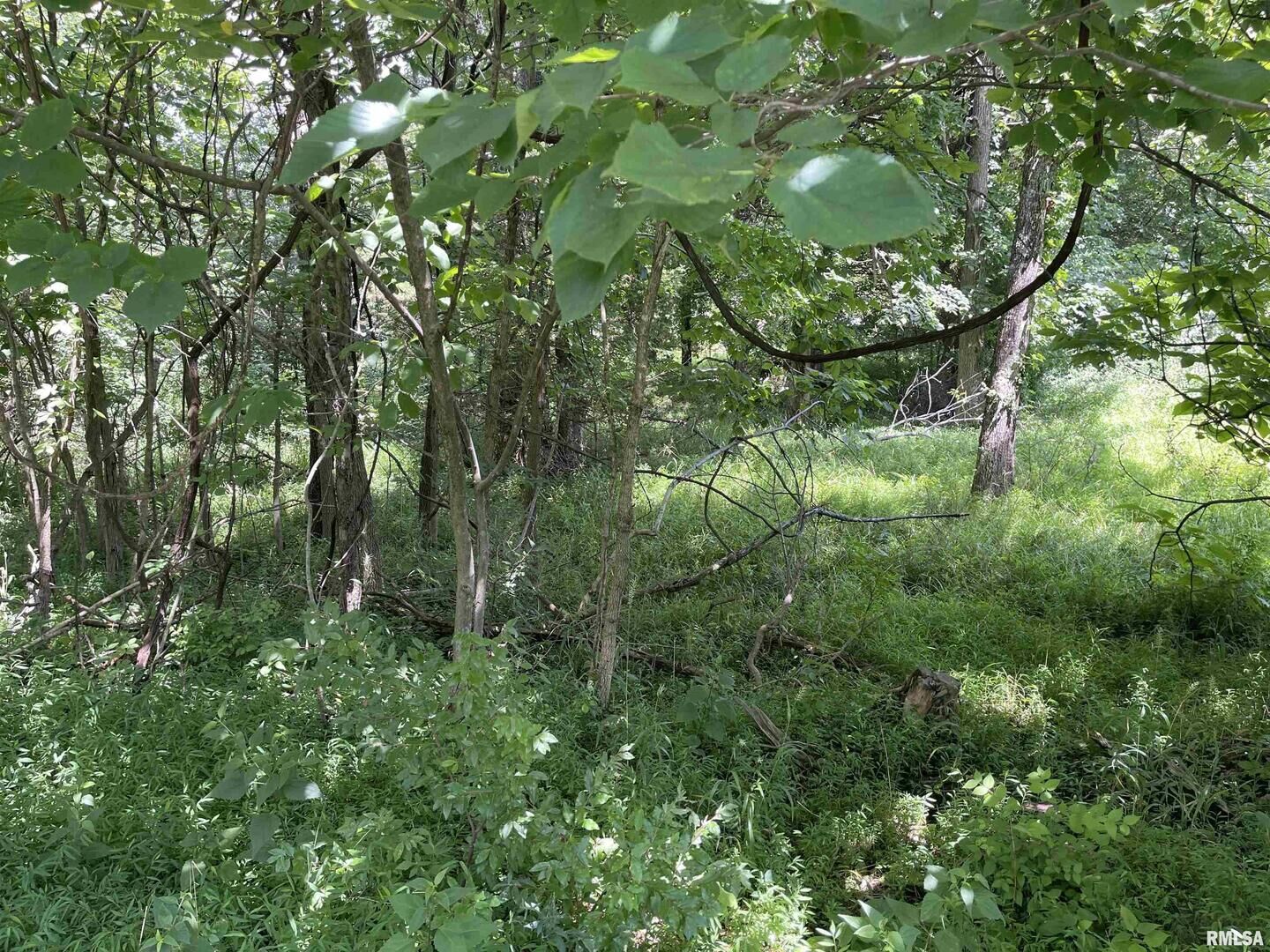 Property Photo:  Lot 246 Mark Drive  IL 62939 
