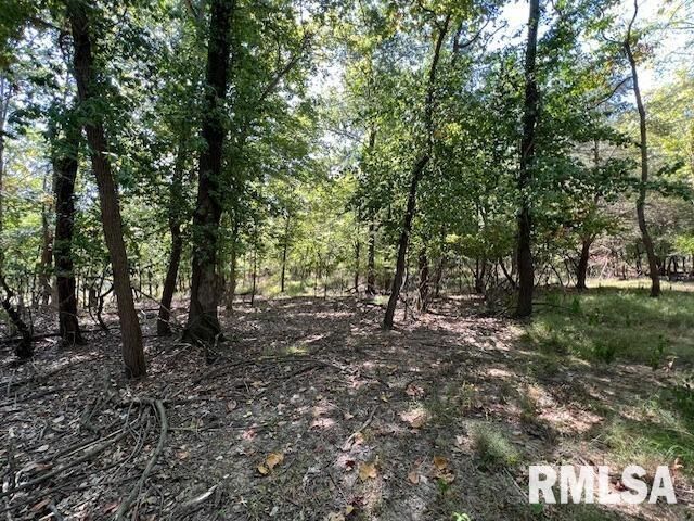 Property Photo: 000 Barnett Street IL 62918