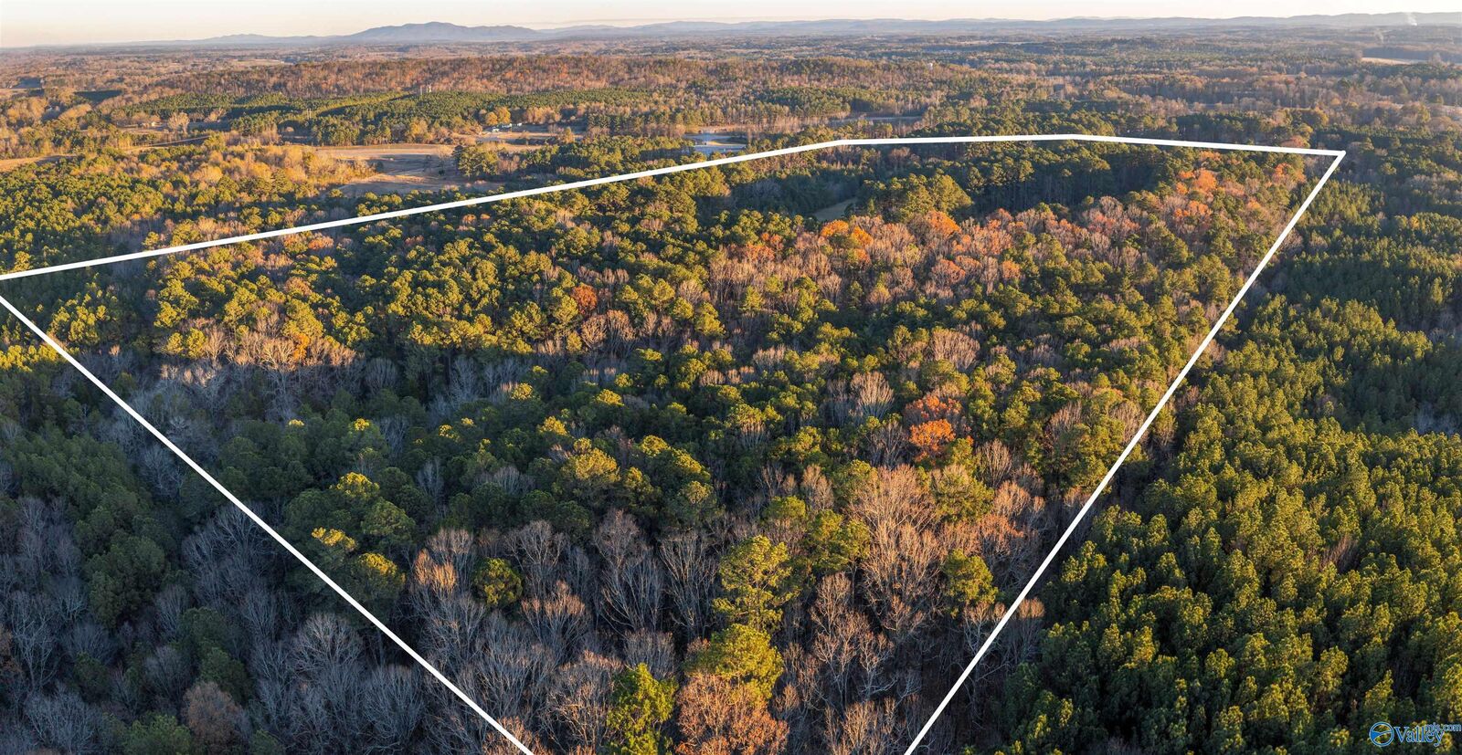 Property Photo:  76 Acres Broken Arrow Drive  AL 35901 