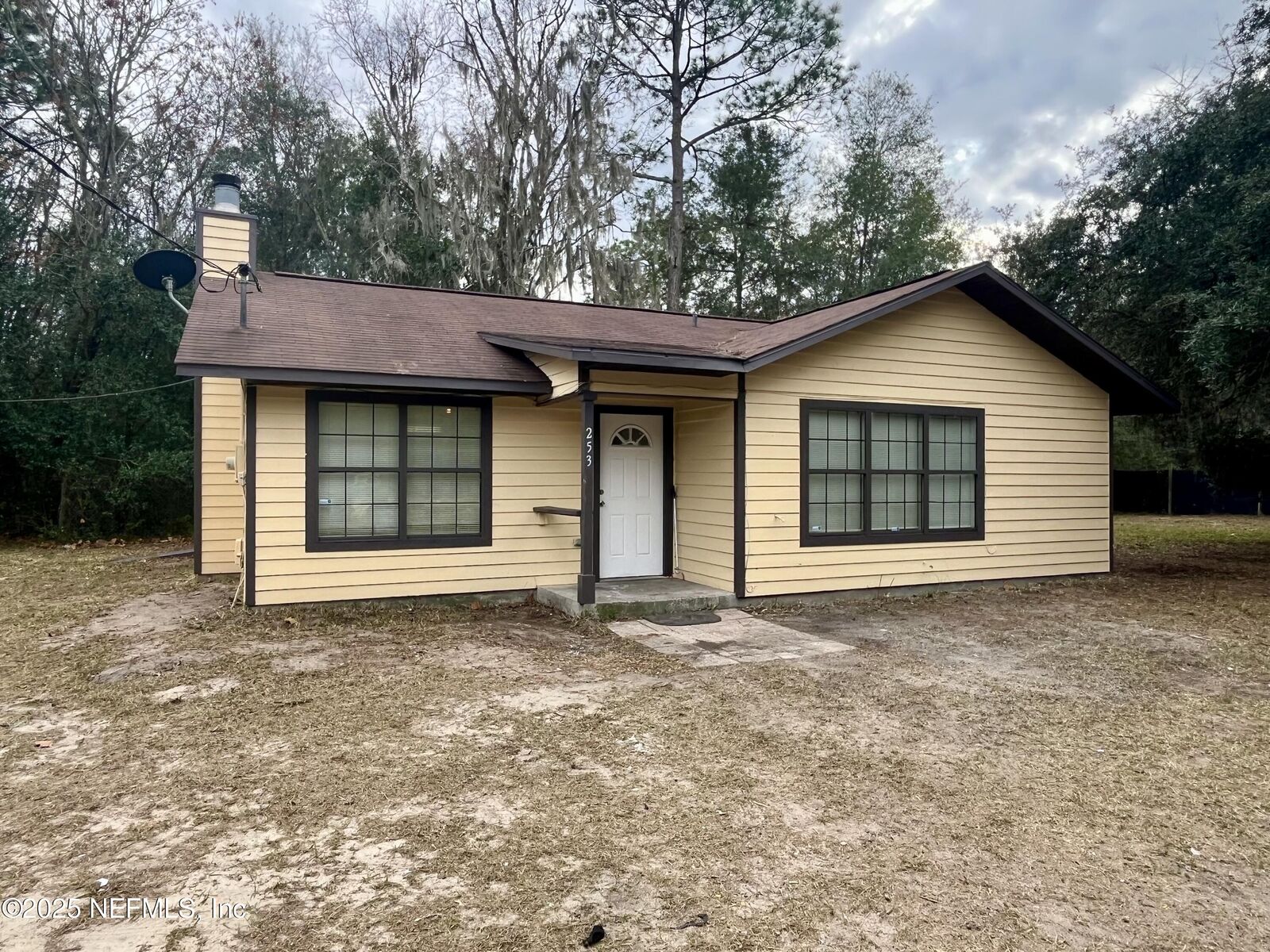 Property Photo:  253 Lakeview Court  FL 32148 