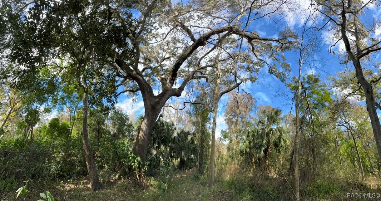 Property Photo: 9291 E Riverbluff Court FL 34453