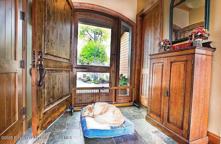 Property Photo:  401 Wood Nymph Lane  CO 81601 