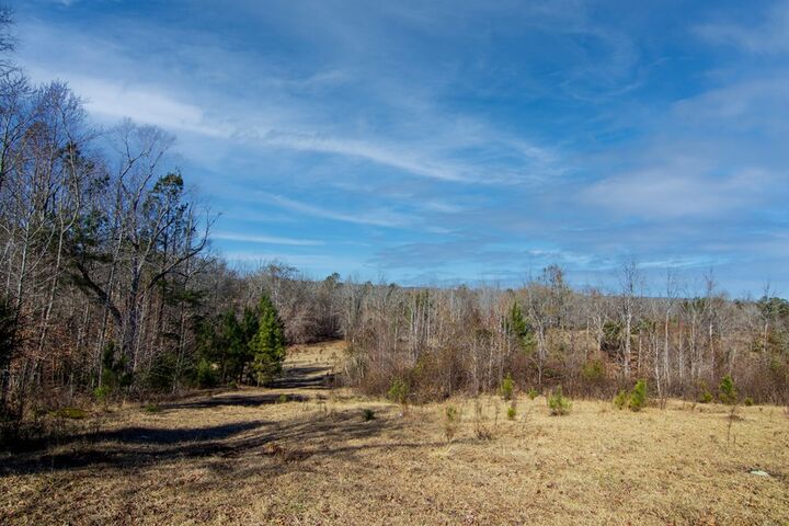 Property Photo:  Tract 5 - 0 Chestnut Grove Road  GA 31826 