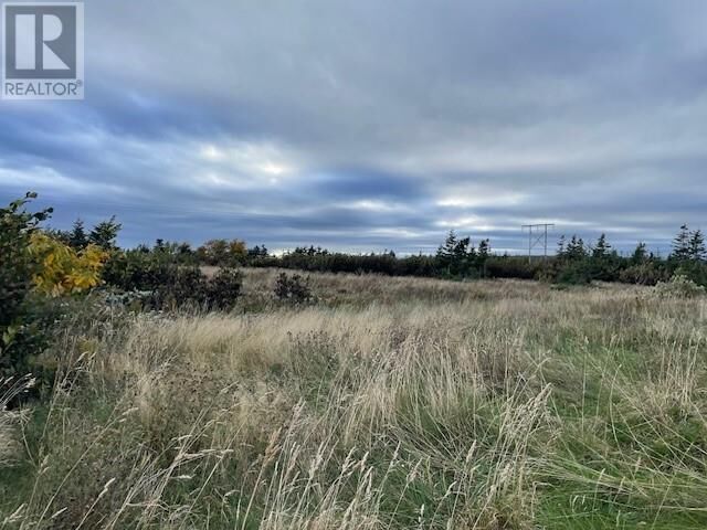 Property Photo:  Lot 5 McIsaac'S Lane  NL A0N 1T0 