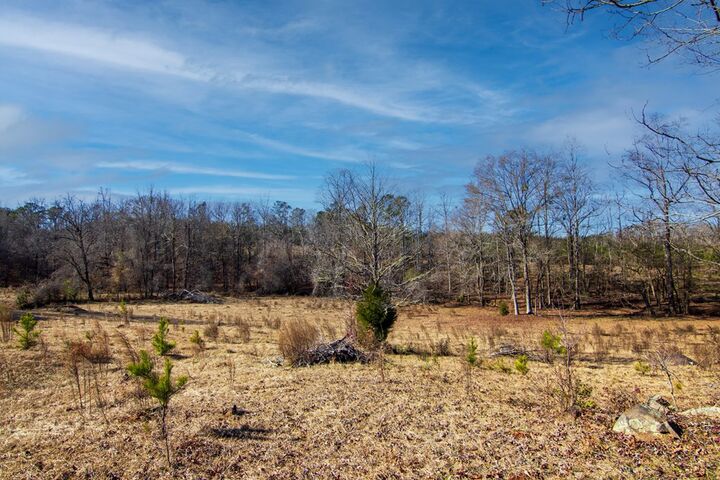 Property Photo:  0 St. Paul Church Road  GA 31826 