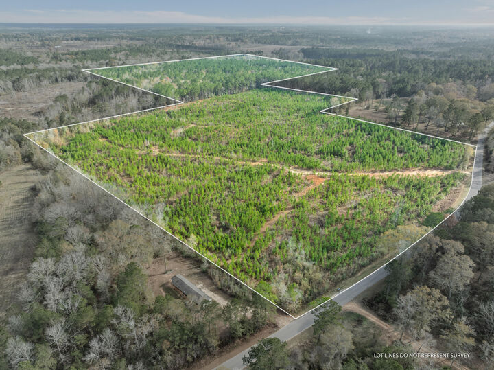 Property Photo: 84.5 Acre Guthrie Carter Rd. MS 39459