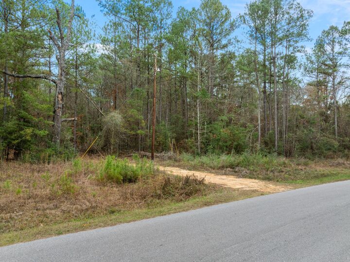 Property Photo:  84.5 Acre Guthrie Carter Rd.  MS 39459 