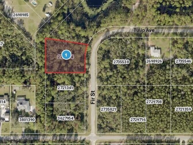 Property Photo:  Tulip Avenue  FL 32736 
