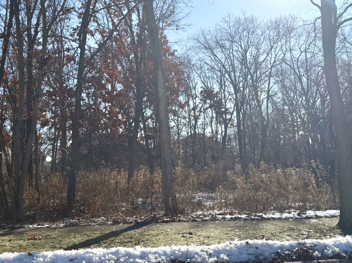 Property Photo:  734 W Feather Sound Drive  IL 60440 