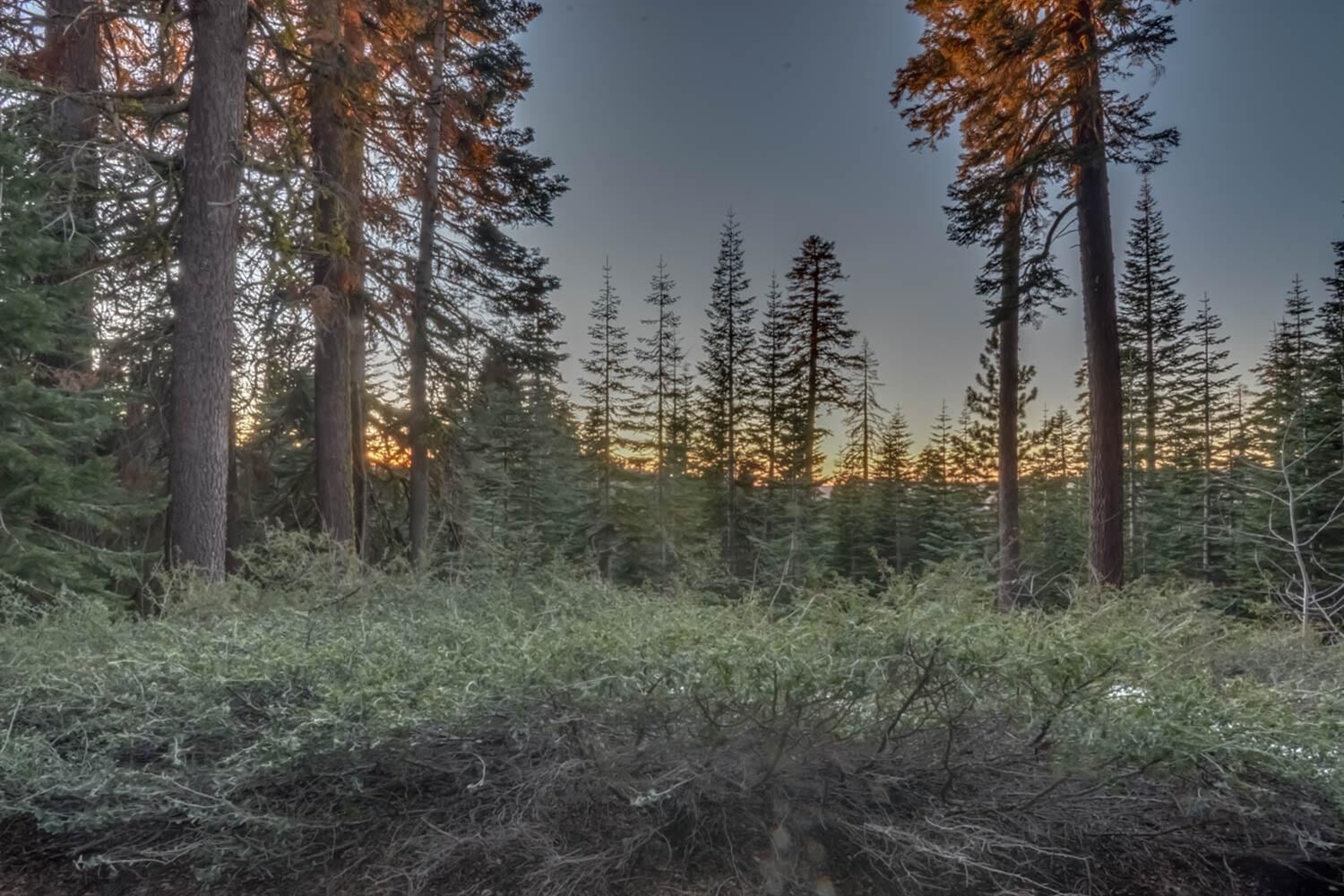 Property Photo:  0 Prather Meadow Road  CA 95223 