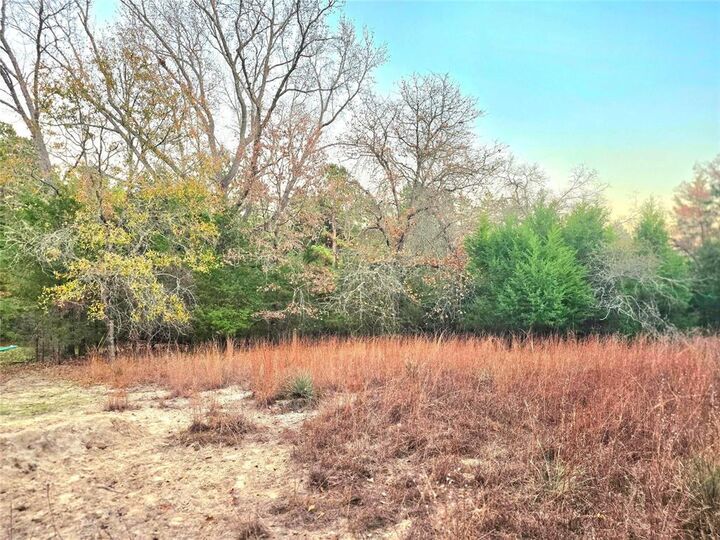 Property Photo:  Lot 401 Mallard Way  TX 75770 