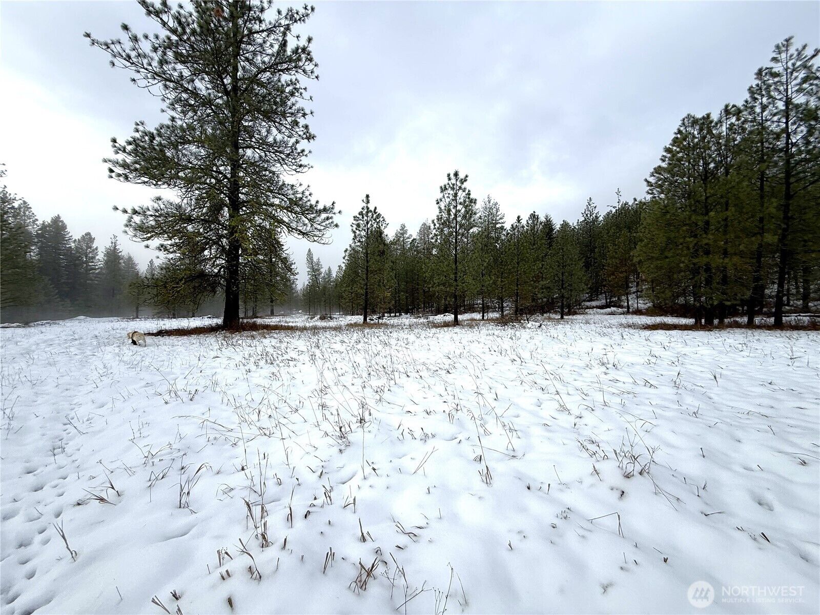 Property Photo:  122  Art Creek Road  WA 99150 