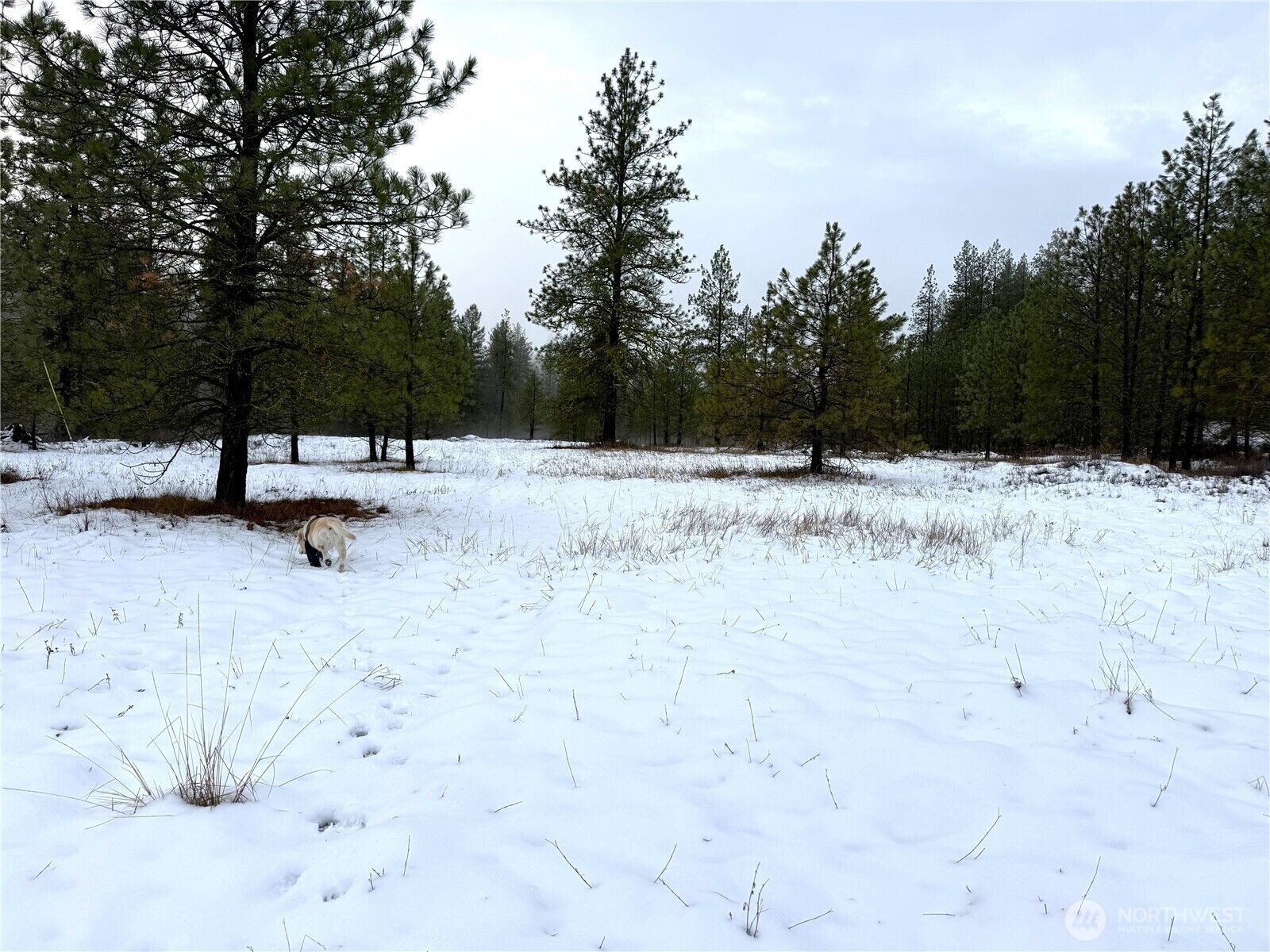 Property Photo:  122  Art Creek Road  WA 99150 