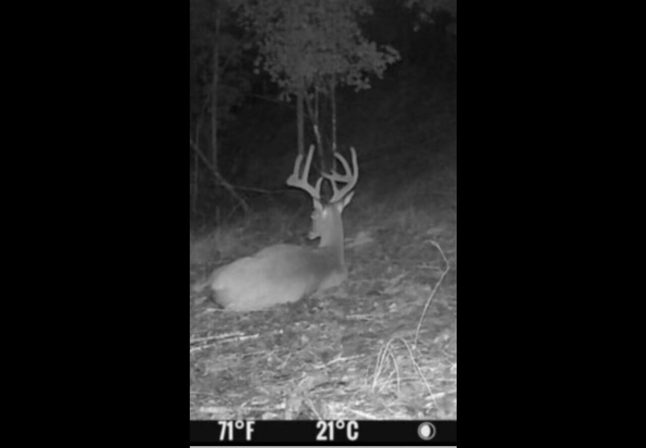 Property Photo:  Froedge Dubree Road 2 Tracts  KY 42166 