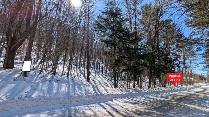 0 Rosseau Lake Rd 1 N/A — photo 1