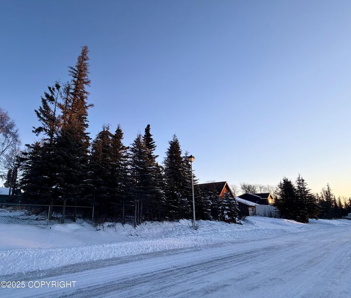 Property Photo:  1205 Equinox Way  AK 99611 