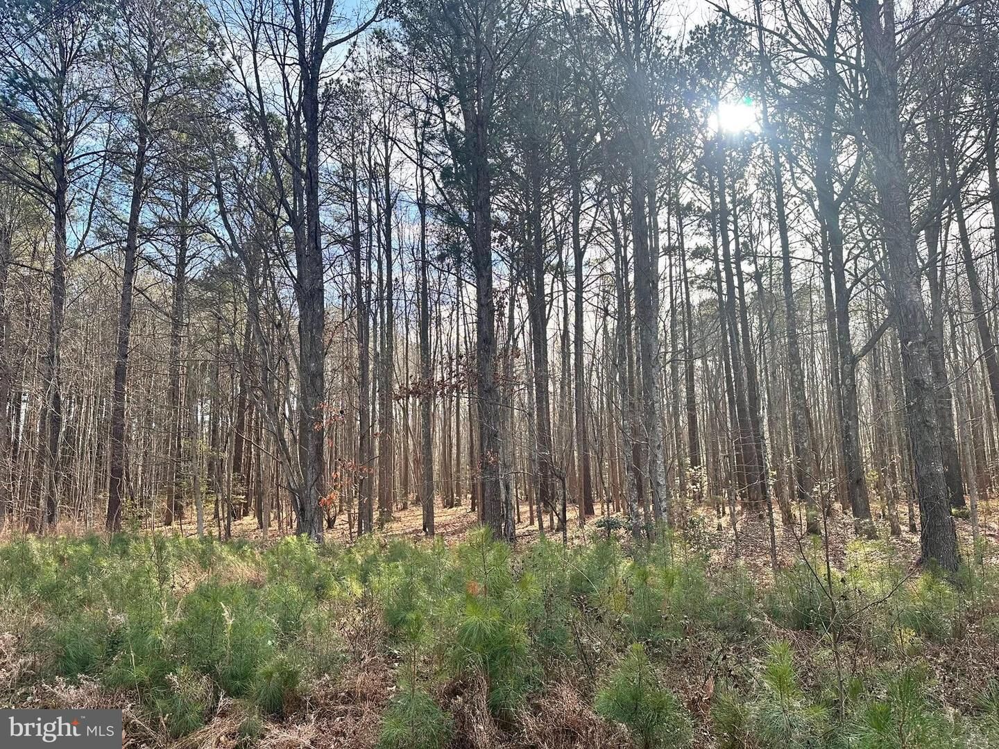 Property Photo:  78 Cubitt Creek Road  VA 22473 