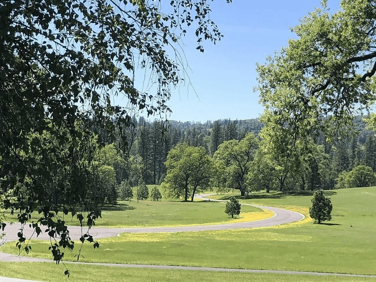 Property Photo: 4075 Blackhawk Lane CA 95667