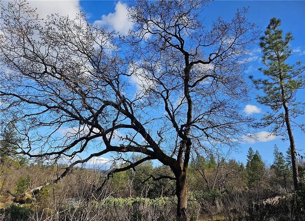 Property Photo:  0 Feather Ridge Way  CA 95916 