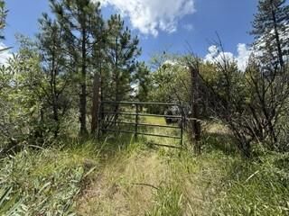 Property Photo:  0 Feather Ridge Way  CA 95916 