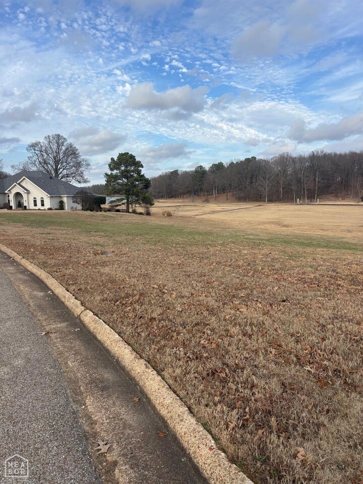 Property Photo:  2412 Ridgepointe Drive  AR 72404 