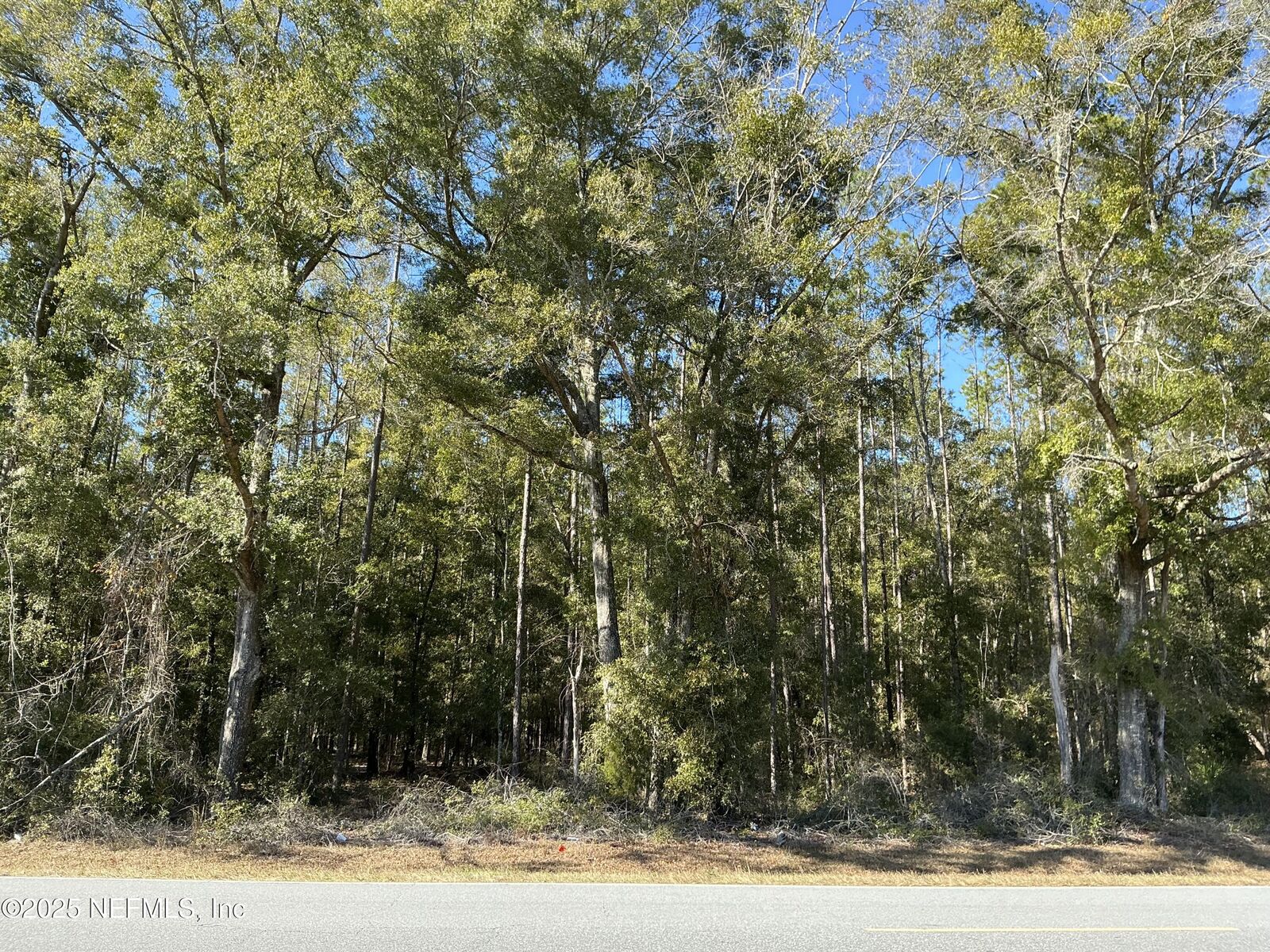 Property Photo:  000 NW C R 341  FL 32626 