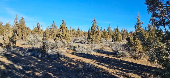 Property Photo:  S Bend Way Tl3200  OR 97754 