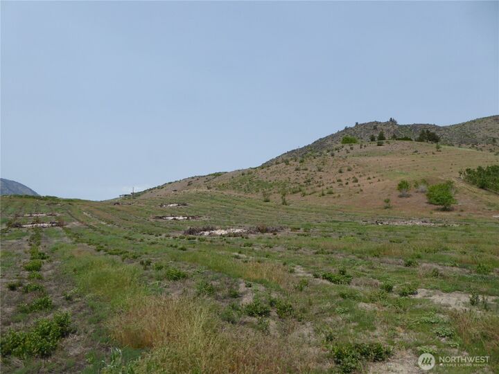 Property Photo:  5  Roses View Lane  WA 98831 