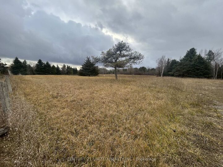 Property Photo:  938 County 25 Road  ON K0K 1M0 