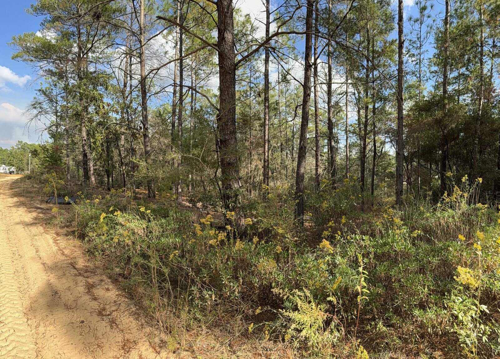 Property Photo:  Lot 29 Cleawater Drive  FL 32433 