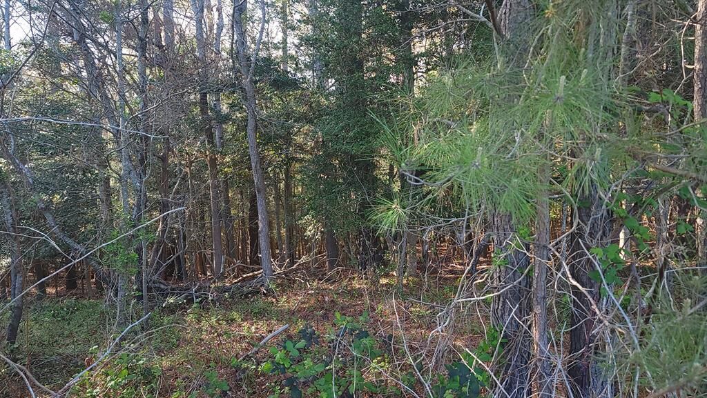Property Photo:  Lot 7 Liberty Dr  VA 23407 
