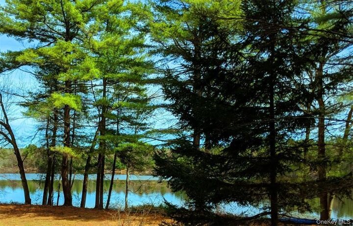 Property Photo:  592 Proctor Road  NY 12737 