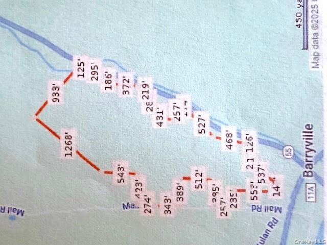 Property Photo:  Lot  11.1 State Route 55 And Mail Road  NY 12719 