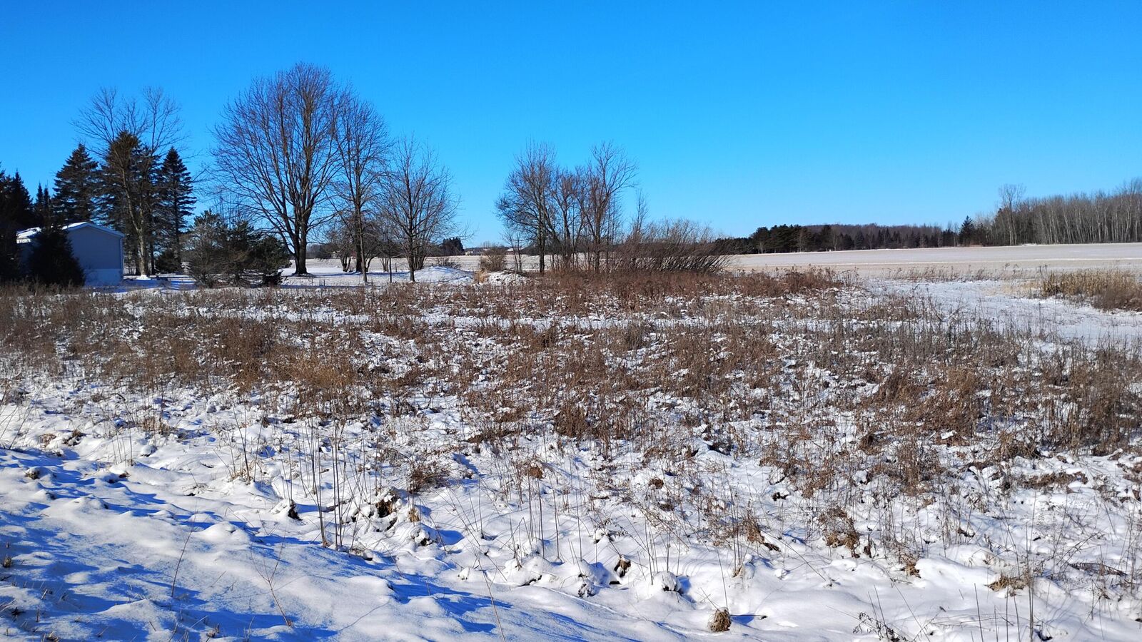 Property Photo:  Lt3 Carstens Lake Rd  WI 54220 
