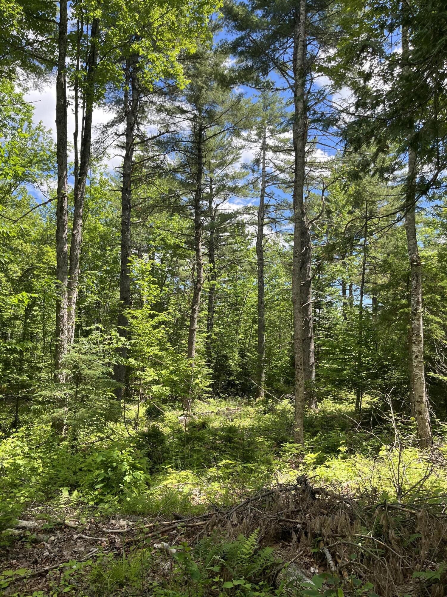 Property Photo: M4l3,5 Fickett Road ME 04434