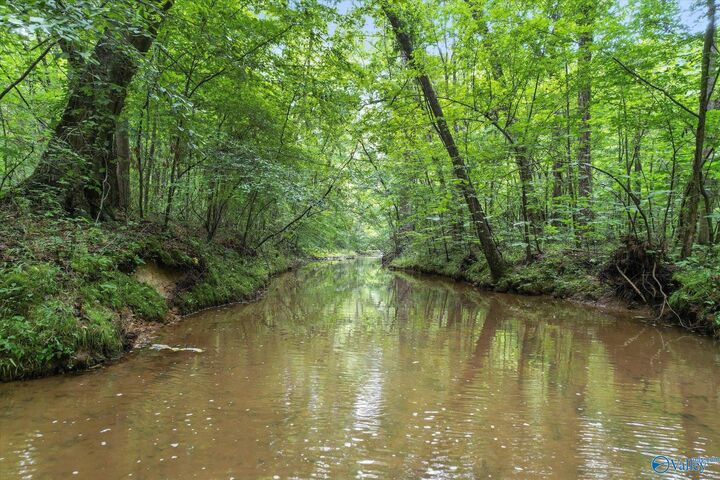 Property Photo: 17361 Meadows Road AL 35613