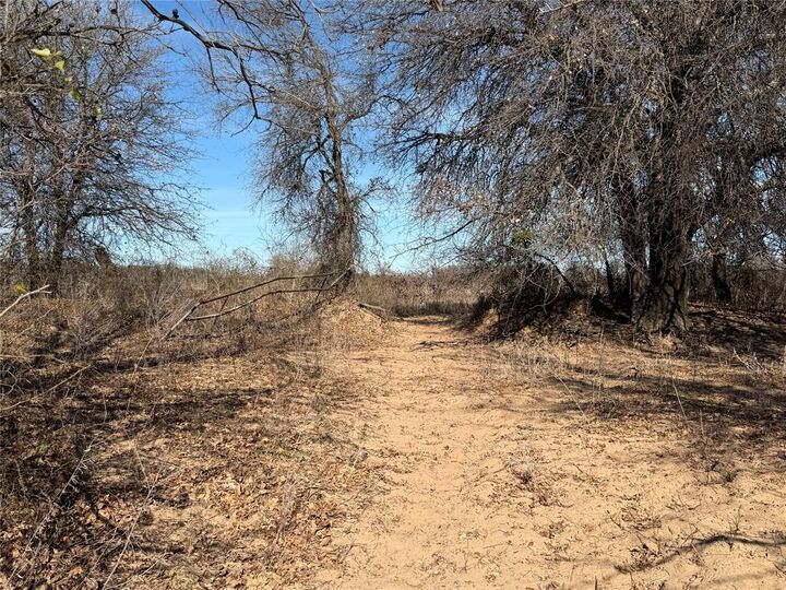 Property Photo:  Tbd Cr 415  TX 76443 