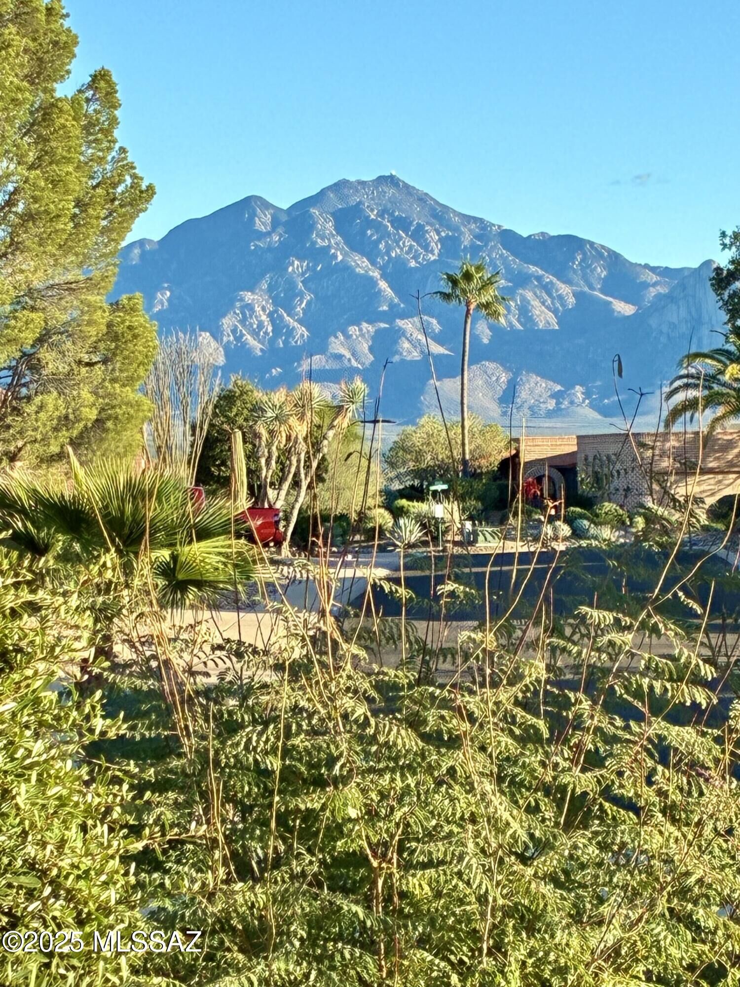 Property Photo:  1571 W Calle De Plata  AZ 85622 