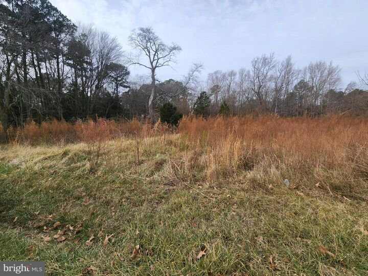 Property Photo:  22092 Royal Oak Road  MD 21856 