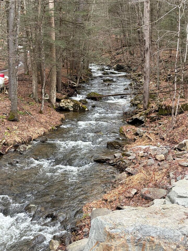 Property Photo:  0 Red Hill Road  NY 12790 