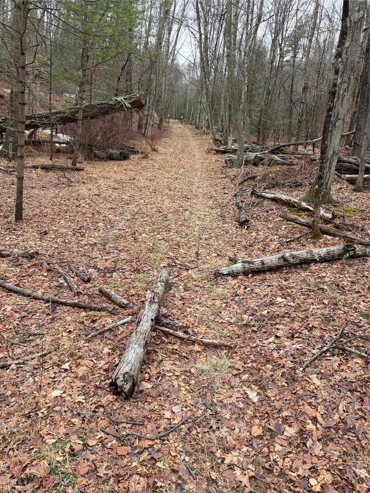 Property Photo:  0 Red Hill Road  NY 12790 