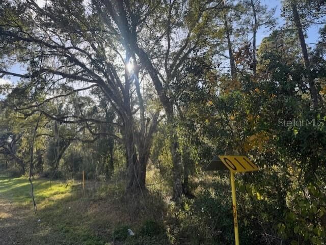 Property Photo:  6355 Treiman Boulevard  FL 33597 