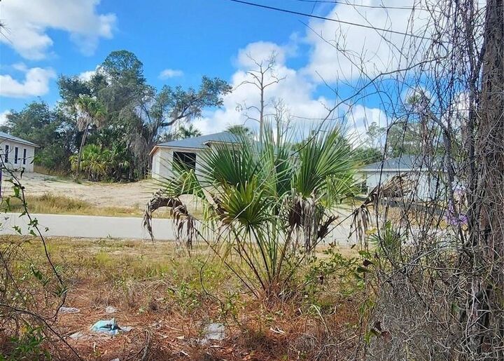 Property Photo:  Ananas Road  FL 34288 